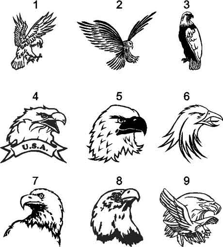 Soaring Bald Eagle bird vinyl vehicle decal decals stickers